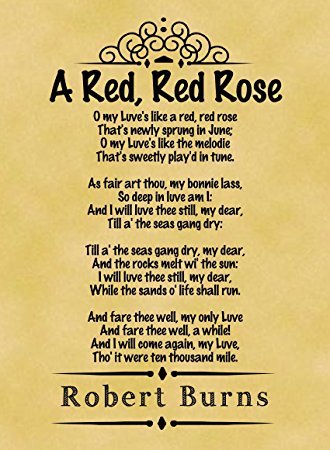 Greatest Cute Love Poems Ever Written Red Rose