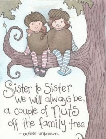 sister quotes funny