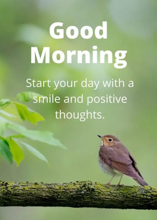 good morning image: Start your day with a smile and positive thoughts