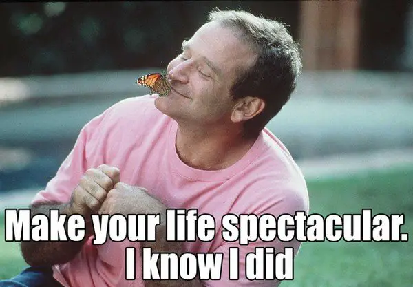 robin williams quotes on life