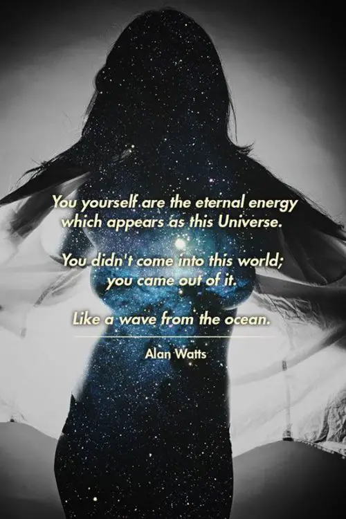 alan watts quotes about yourself