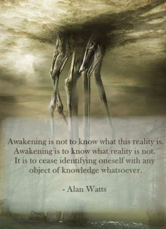 alan watts quotes awakening