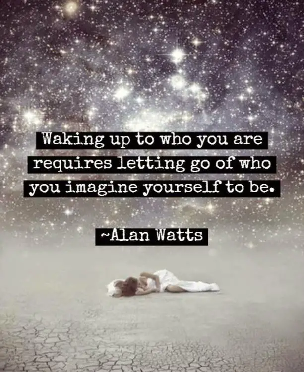 alan watts quotes waking up