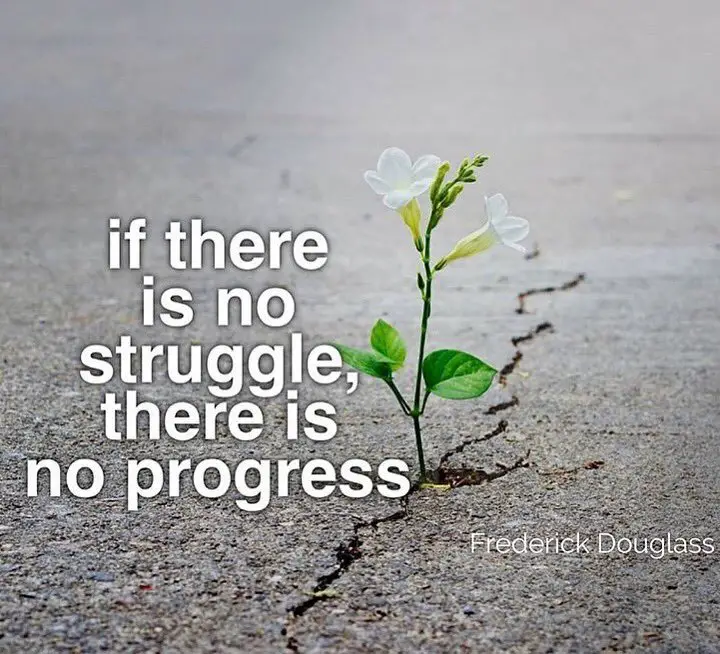 quotes about progress and struggle