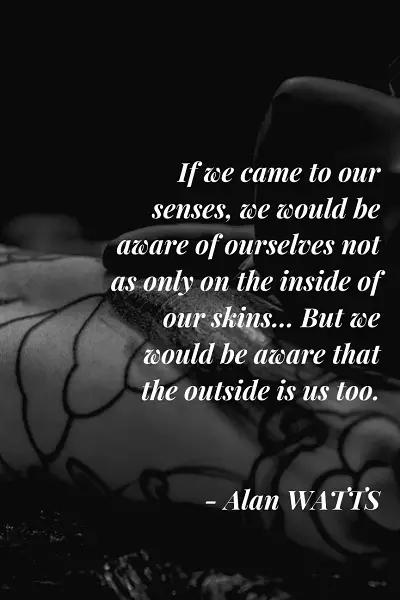 wisest and most inspirational quotes by Alan Watts