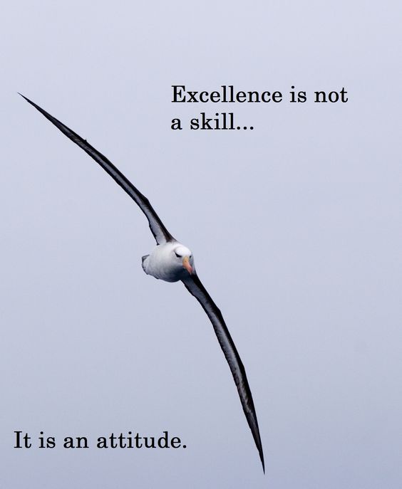 commitment quotes on excellence
