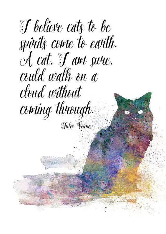 cute cat quotes from famous people