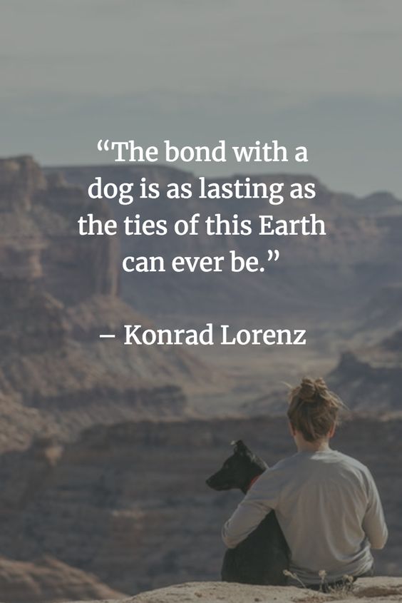dog quotes about loyalty