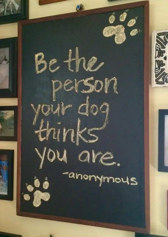dog quotes inspirational