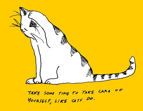 inspirational cat quotes