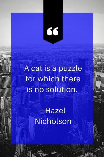 most inspirational quotes about cat