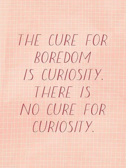 amazing curiosity quotes