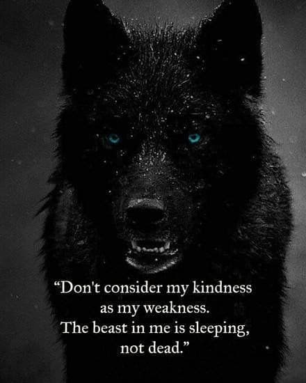 being a lone wolf quotes
