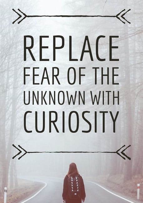 best curiosity quotes