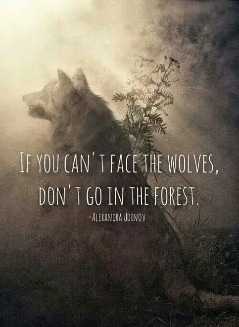 best wolf quotes