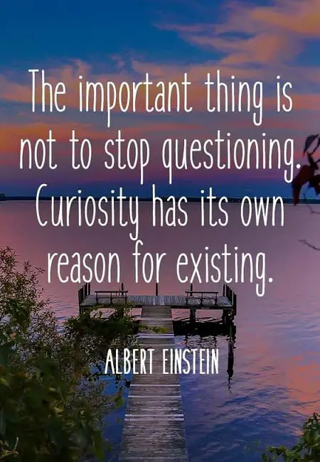 curiosity quotes einstein