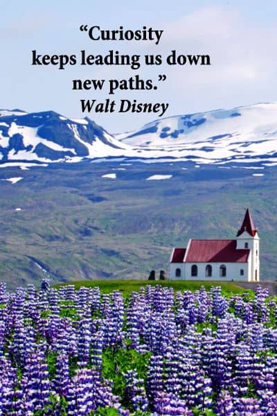 curiosity quotes from walt disney