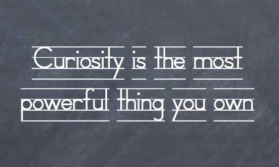 curiosity sayings and quotes