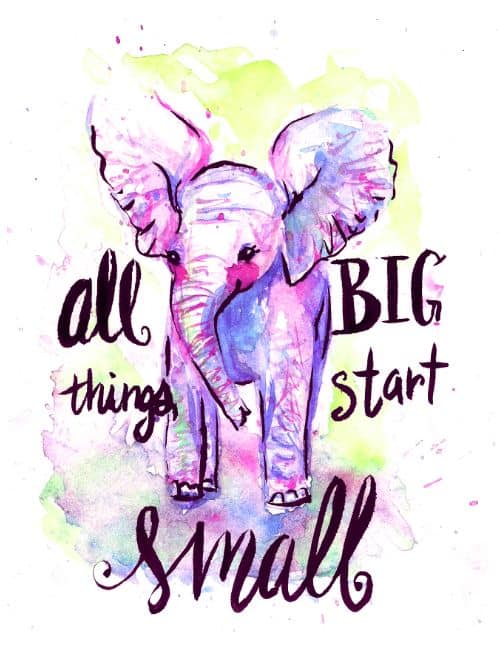 elephant quotes about strength