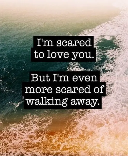 falling in love quotes with images