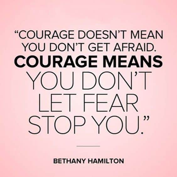 hamilton quotes on courage