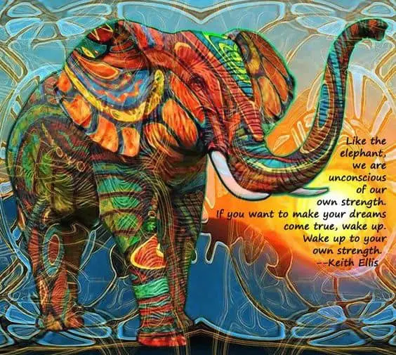 inspirational elephant quotes