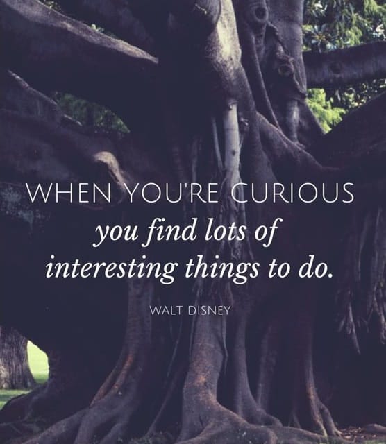 inspiring curiosity quotes