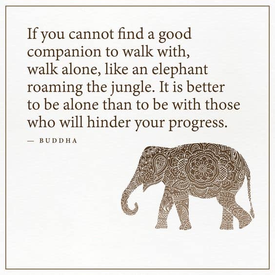 inspiring elephant quotes