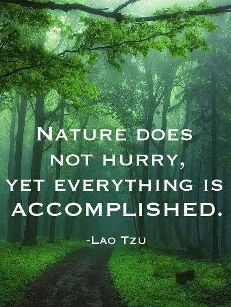 lao tzu quotes on nature