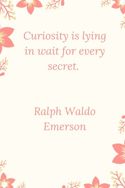 most famous quotes on curiosity