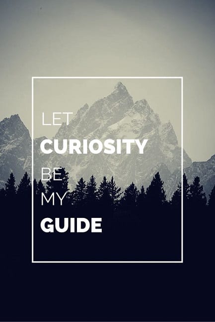 motivating curiosity quotes