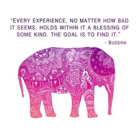 quotes on elephant