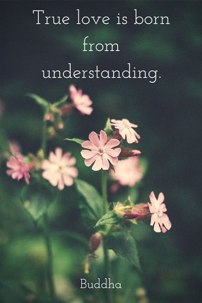 understanding quotes for love