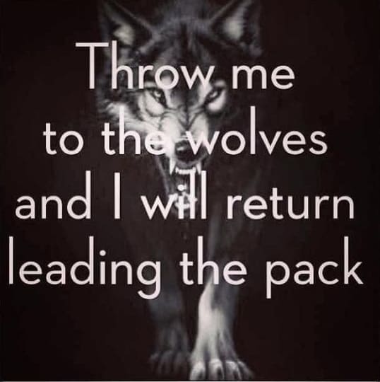 wolf pack quotes