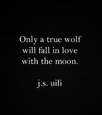 wolf quotes about love