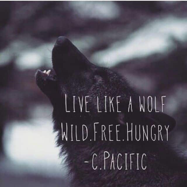 wolf quotes and images
