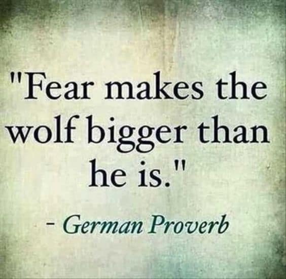 wolf wisdom quotes
