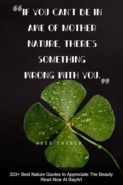 best nature quotes and sayings about Mother Earth's beauty