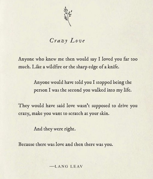 crazy quotes about love