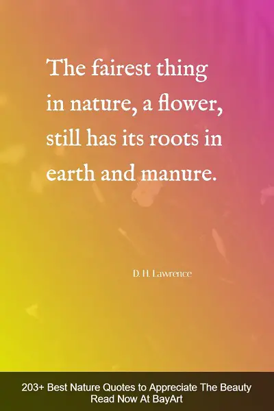 inspirational nature quotes and sayings