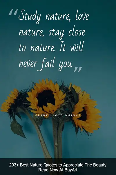 inspirational nature quotes and sayings about Mother Earth's beauty