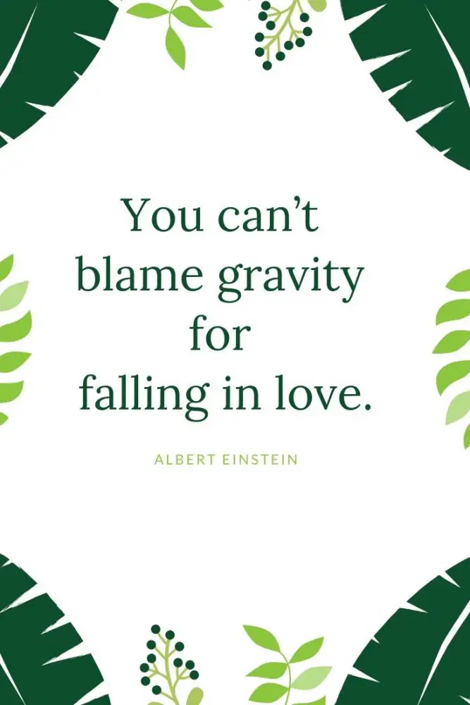 most famous quotes about falling in love