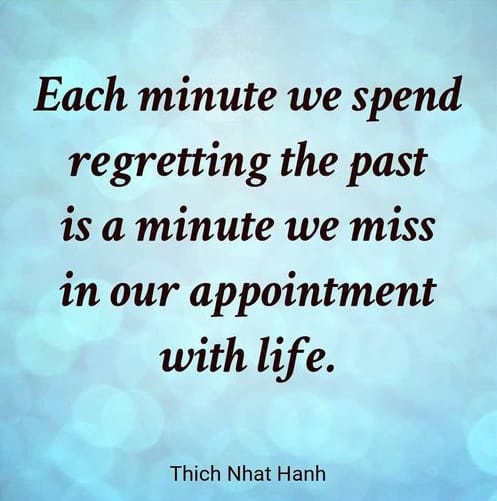 thich nhat hanh quotes on living moment