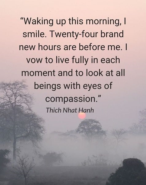 thich nhat hanh quotes to live fully