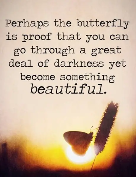 butterfly quotes about change