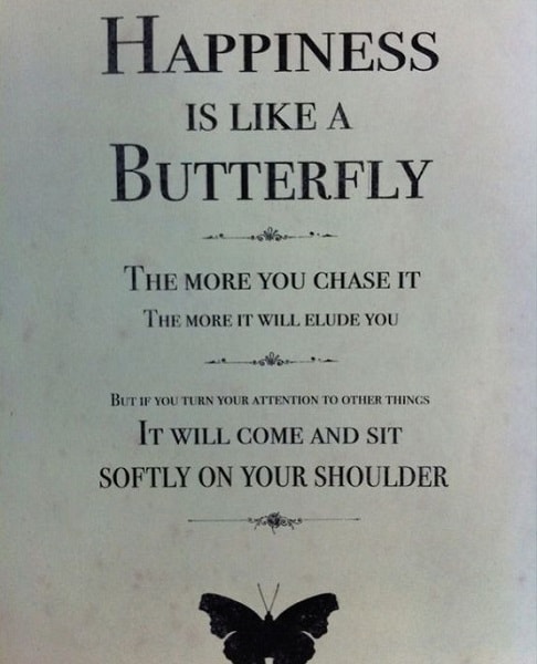 butterfly quotes about happiness