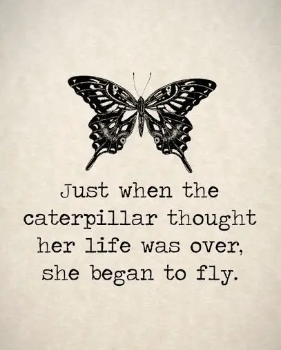 butterfly quotes with images