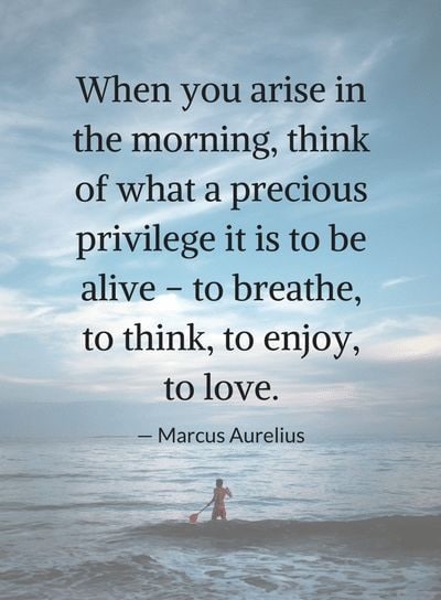 emperor marcus aurelius quotes