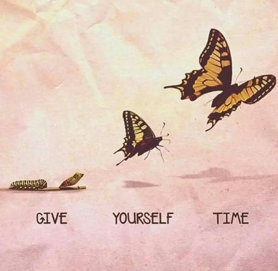 inspirational butterfly quotes
