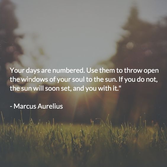 marcus aurelius quotes death